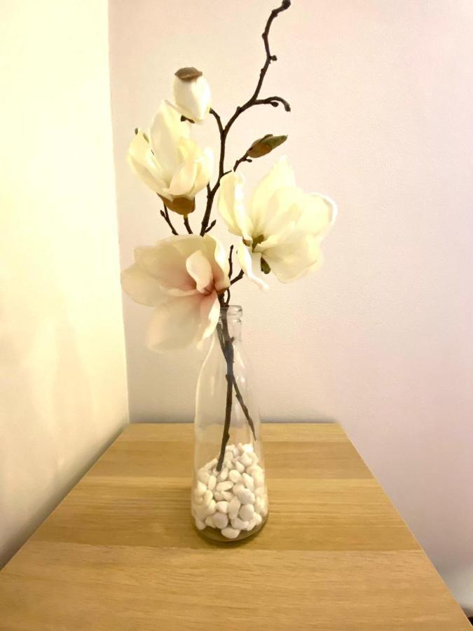 Apartment Ca Dei Dogi I 마르텔라고 외부 사진